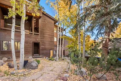 800 S Monarch Street #Unit 9, Aspen, CO 81611 - Photo 24