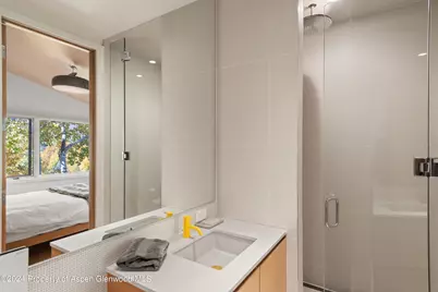 800 S Monarch Street #Unit 9, Aspen, CO 81611 - Photo 16