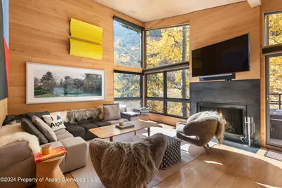 800 S Monarch Street #Unit 9, Aspen, CO 81611 - Photo 4