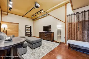 420 Mjn Rd, Carbondale, CO 81623 - Photo 56