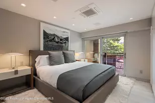 555 E Durant Ave, Aspen, CO 81611 - Photo 8