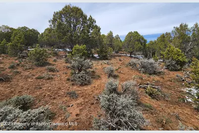 209 Crescent Lane, Glenwood Springs, CO 81601 - Photo 4