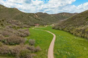 6766 Co Rd 313, New Castle, CO 81647 - Photo 4