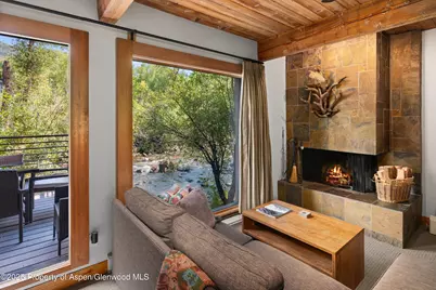 1039 E Cooper Avenue #21a, Aspen, CO 81611 - Photo 4