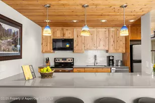 1039 E Cooper Ave, Aspen, CO 81611 - Photo 10