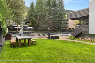1039 E Cooper Ave, Aspen, CO 81611 - Photo 14
