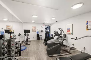 1039 E Cooper Ave, Aspen, CO 81611 - Photo 16