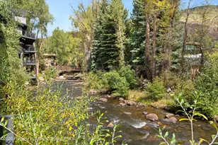 1039 E Cooper Ave, Aspen, CO 81611 - Photo 12