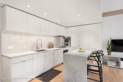 1039 E Cooper Avenue #19a, Aspen, CO 81611 - Photo 6