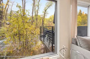 1039 E Cooper Ave, Aspen, CO 81611 - Photo 14
