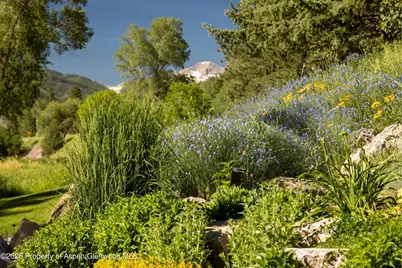 14418 Highway 133, Carbondale, CO 81623 - Photo 66