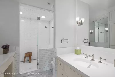 1230 Snowbunny Lane, Aspen, CO 81611 - Photo 42