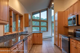 368 E Lupine Dr, Aspen, CO 81611 - Photo 6