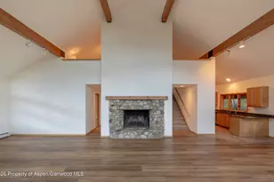 368 E Lupine Dr, Aspen, CO 81611 - Photo 4