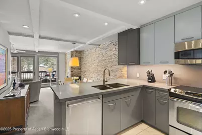 610 S West End Street #K201, Aspen, CO 81611 - Photo 8
