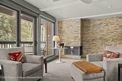 610 S West End Street #K201, Aspen, CO 81611 - Photo 4