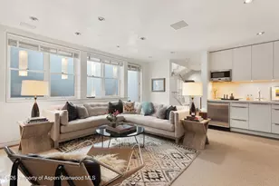 629 W Smuggler St, Aspen, CO 81611 - Photo 16