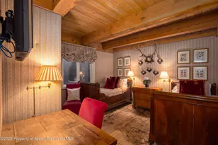 1039 E Cooper Ave, Aspen, CO 81611 - Photo 26