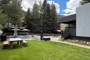 1039 E Cooper Ave, Aspen, CO 81611 - Photo 30