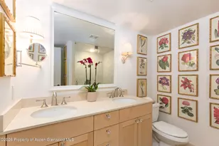 1039 E Cooper Ave, Aspen, CO 81611 - Photo 14
