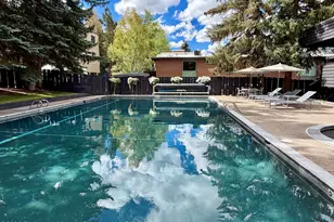 1039 E Cooper Ave, Aspen, CO 81611 - Photo 28