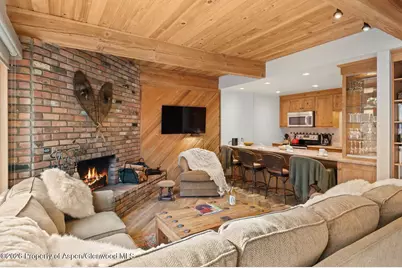 1039 E Cooper Avenue #11, Aspen, CO 81611 - Photo 20