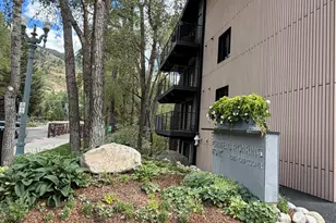 1039 E Cooper Ave, Aspen, CO 81611 - Photo 4