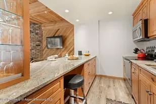 1039 E Cooper Ave, Aspen, CO 81611 - Photo 18