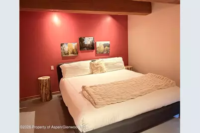 1039 E Cooper Avenue #11, Aspen, CO 81611 - Photo 10