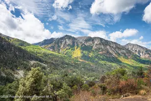 795 Serpentine Trail, Marble, CO 81623 - Photo 60