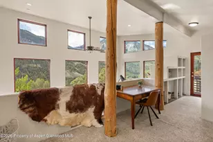 795 Serpentine Trail, Marble, CO 81623 - Photo 16