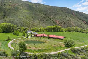 26150 Hwy 82, Snowmass, CO 81654 - Photo 6