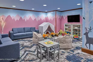 39 Boomerang Rd, Aspen, CO 81611 - Photo 12