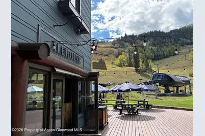 39 Boomerang Road #8310-9, Aspen, CO 81611 - Photo 14