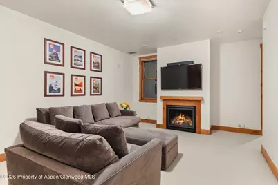 115 Park Avenue, Aspen, CO 81611 - Photo 26