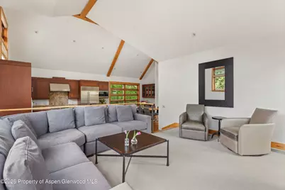 115 Park Avenue, Aspen, CO 81611 - Photo 6