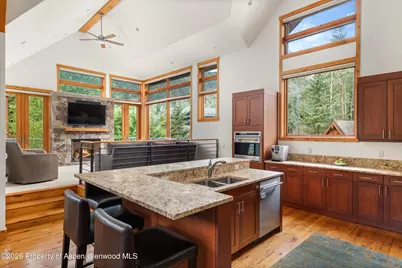 115 Park Avenue, Aspen, CO 81611 - Photo 10