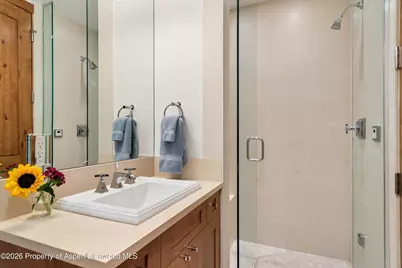 115 Park Avenue, Aspen, CO 81611 - Photo 34