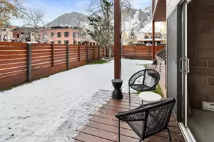 311 S Aspen St, Aspen, CO 81611 - Photo 18