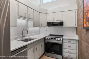 311 S Aspen St, Aspen, CO 81611 - Photo 6