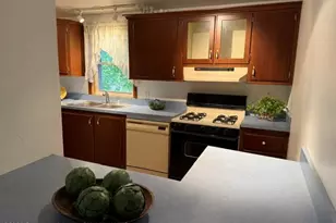 100 James Cir, ElJebel, CO 81623 - Photo 2