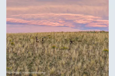 728 County Road 18 S, Craig, CO 81625 - Photo 52