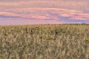 728 County Rd 18 S, Craig, CO 81625 - Photo 52