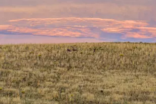 728 County Rd 18 S, Craig, CO 81625 - Photo 54