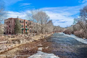 455 Gold Rivers Ct, Basalt, CO 81621 - Photo 14