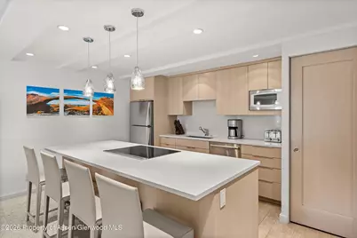 731 E Durant Avenue #10, Aspen, CO 81611 - Photo 8