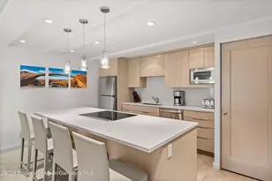 731 E Durant Ave, Aspen, CO 81611 - Photo 8