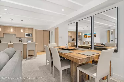 731 E Durant Avenue #10, Aspen, CO 81611 - Photo 6