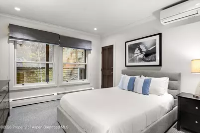 738 S Galena Street #1-C, Aspen, CO 81611 - Photo 10