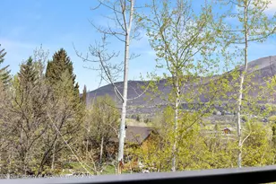 738 S Galena St, Aspen, CO 81611 - Photo 14